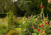 Late Summer Garden at Howick Hall