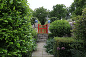 Red Gate