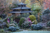Early morning sun and frost in Japanese garden