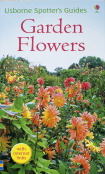 Usborne Spotter's Guide to Wild Flowers front cover