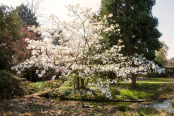 Power of Spring