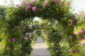 Sunset Boulevard at The Seaside Garden