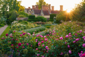 Jay Robin's Rose Garden