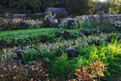 "The Gardener`s Shed"