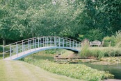 Monet's Bridge & Lily Pond