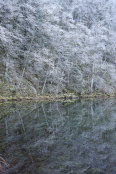 Frosted reflections