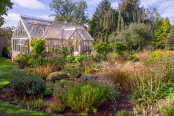 Early morning in the glasshouse