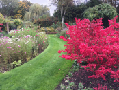  Mill Barn Garden border