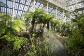 Temperate House at Kew