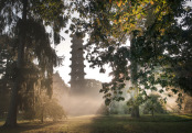 Autumn at Kew