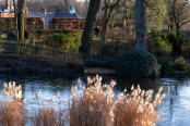 Looking across the pond