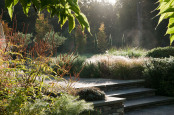 Early morning light on the garden steps