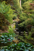 Japanese Garden