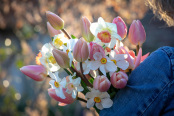 Sarah Raven hand tied bunch