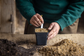 Seed sowing at Great Dixter with Fergus Garrett