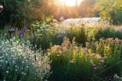 First rays, summer solstice