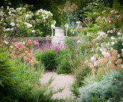 Urn and Penstemons