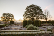 Sunrise over the Vegetable Garden