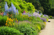 The Herbaceous Border, Waterperry Gardens