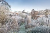 Frosty Borders