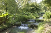 Stepped Waterfall