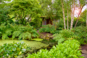 Shades of Green