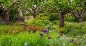  Flower Meadow