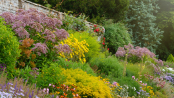 Late Summer Panorama