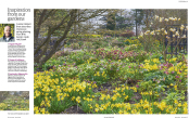 RHS The Garden