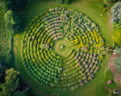 The Miz Maze at Mount Ephraim Gardens