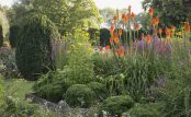 Midsummer Colour