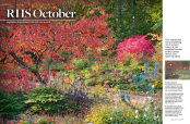 The Garden magazine Inspiration feature