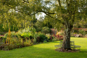 Autumn Borders at Osterly Park