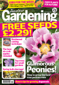 Amateur Gardening Cover