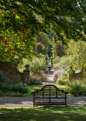 Early autumn in the rose garden