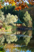 Lakeside Pagoda in Autumn