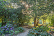 The Meandering Woodland 