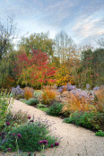 Jewelled colours in an autumn border
