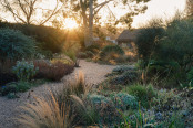 December dawn in the Gravel Garden