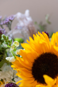 Flower Arrangement