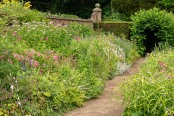 Winterbourne Summer Border