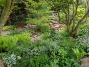 Sunken Garden in Spring