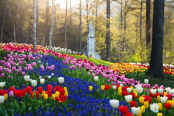 Palette of Spring, The Garden of MorningCalm