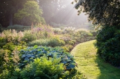 Early morning light in The Bressingham Gardens