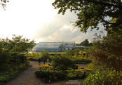 RHS Garden, Wisley