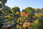 RHS Wisley rock garden in autumn