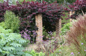 Colourful foliage