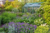 Evening in the Stockbeds