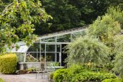 The Greenhouse in Summer