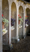 Within The Arches